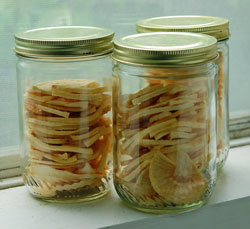 Jars of dried apples